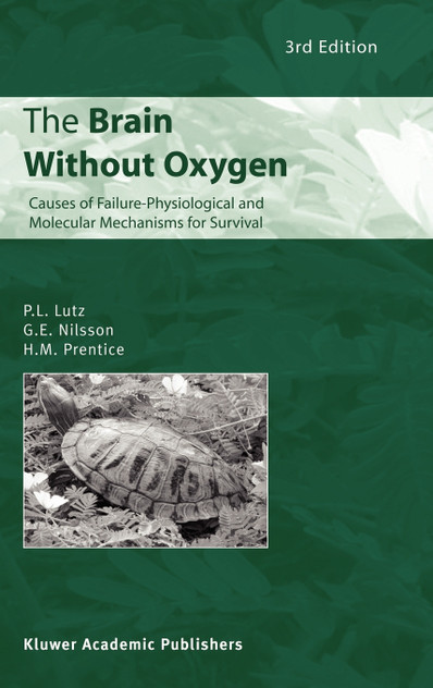 The Brain Without Oxygen