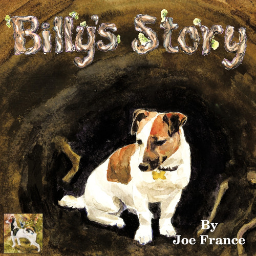 Billy's Story Billy's Story
