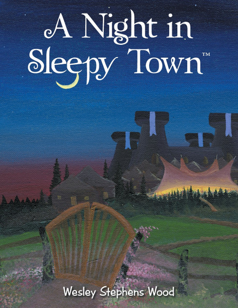 A Night in Sleepy Town A Night in Sleepy Town