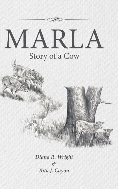 Marla Marla