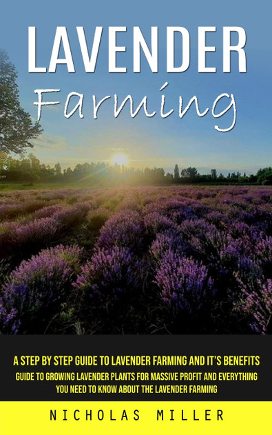 Lavender Farming Lavender Farming