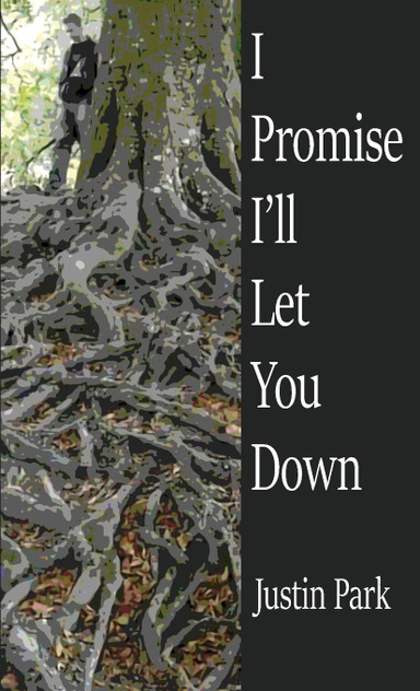 I Promise I'll Let You Down I Promise I'll Let You Down