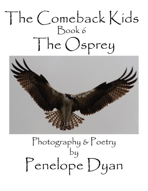 The Comeback Kids, Book 6, The Osprey The Comeback Kids, Book 6, The Osprey