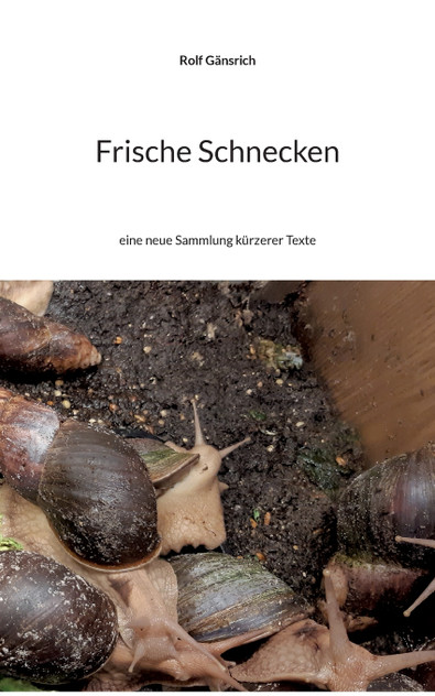 Frische Schnecken Frische Schnecken