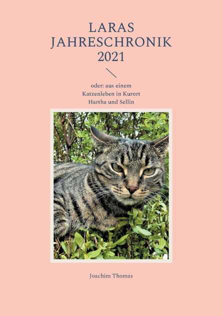 Laras Jahreschronik 2021