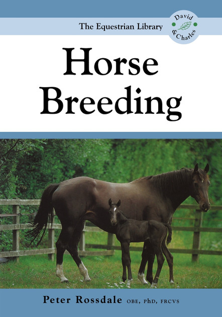 Horse Breeding Horse Breeding