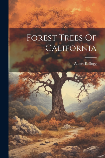 Forest Trees Of California Forest Trees Of California