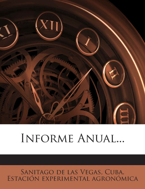 Informe Anual... Informe Anual...