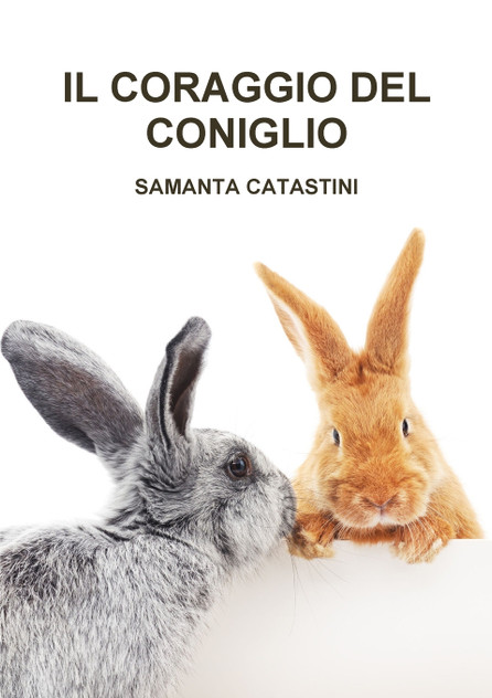IL CORAGGIO DEL CONIGLIO IL CORAGGIO DEL CONIGLIO