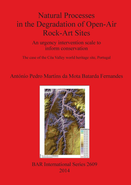 Natural Processes in the Degradation of Open-Air Rock-Art Sites Natural Processes in the Degradation of Open-Air Rock-Art Sites