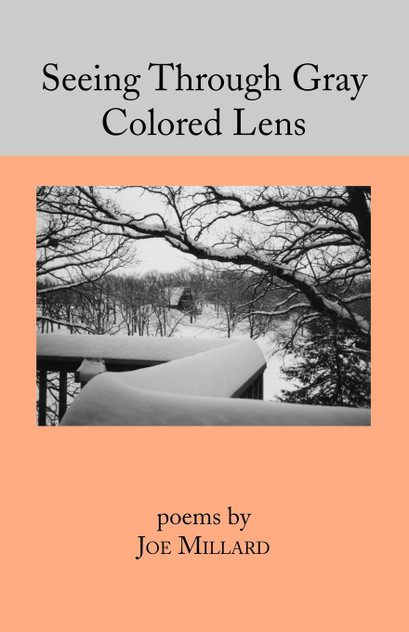 Seeing Through Gray Colored Lens Seeing Through Gray Colored Lens