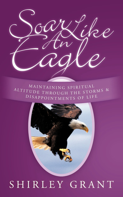 Soar Like an Eagle Soar Like an Eagle