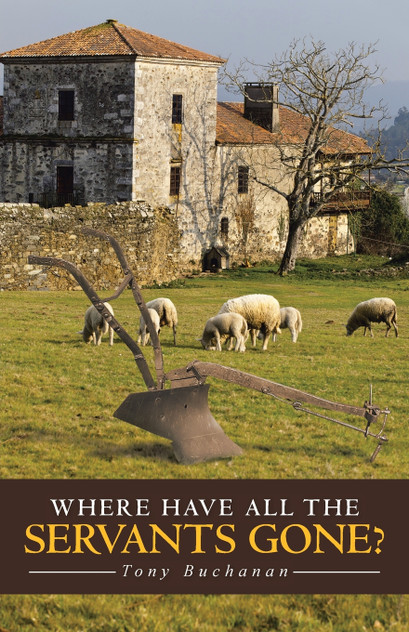 Where Have All the Servants Gone? Where Have All the Servants Gone?