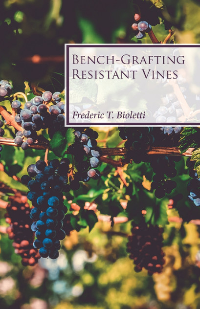 Bench-Grafting Resistant Vines Bench-Grafting Resistant Vines