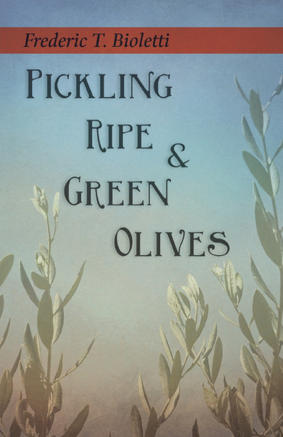 Pickling Ripe and Green Olives Pickling Ripe and Green Olives