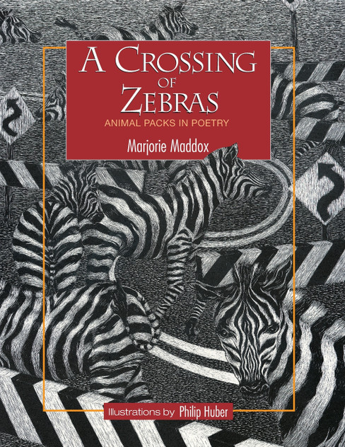 A Crossing of Zebras A Crossing of Zebras