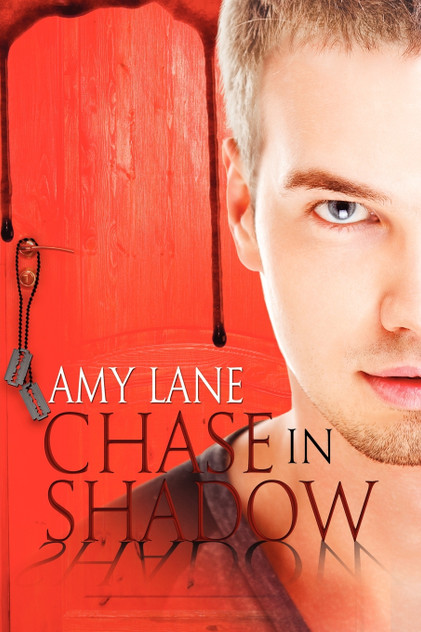 Chase in Shadow Chase in Shadow
