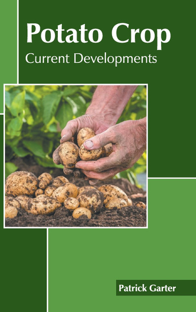 Potato Crop Potato Crop