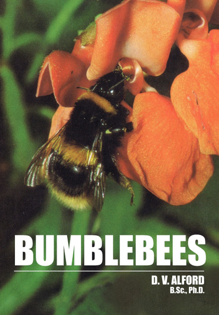 Bumble Bees Bumble Bees