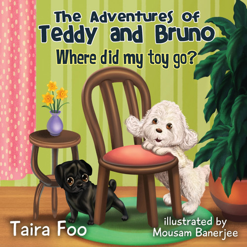 Where did my toy go ? Where did my toy go ?