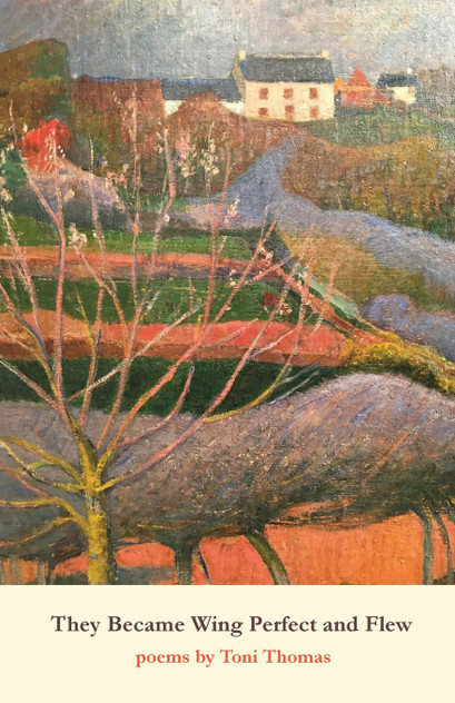 They Became Wing Perfect and Flew They Became Wing Perfect and Flew