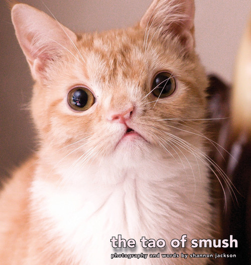 The Tao of Smush The Tao of Smush