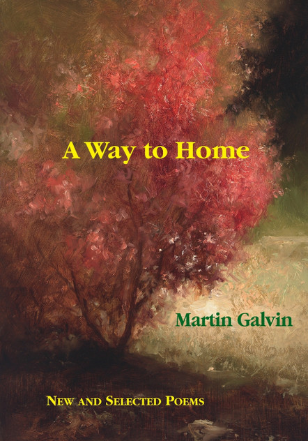 A Way to Home A Way to Home