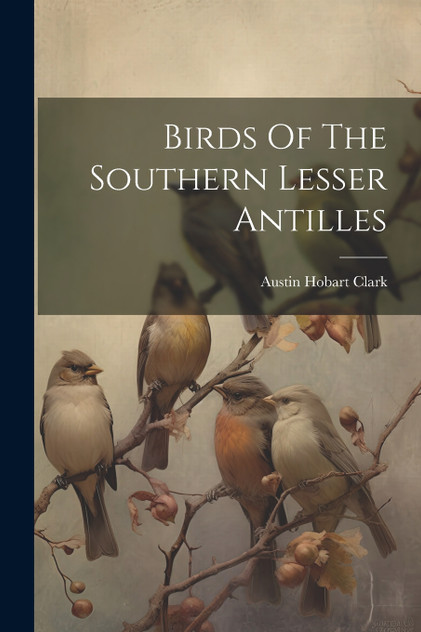 Birds Of The Southern Lesser Antilles Birds Of The Southern Lesser Antilles