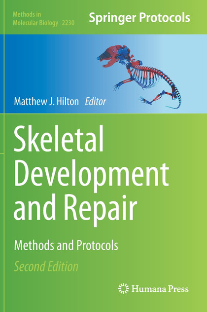 Skeletal Development and Repair