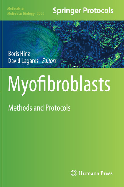 Myofibroblasts