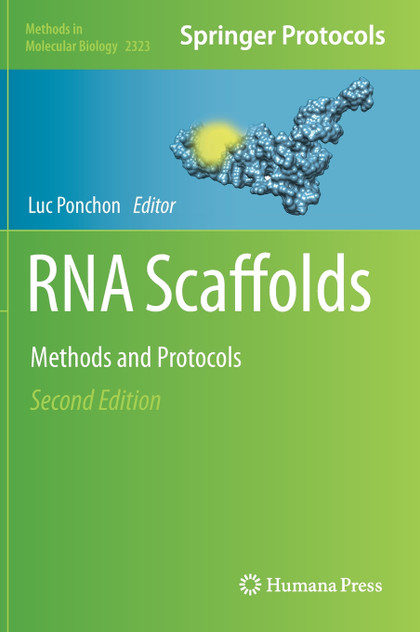 RNA Scaffolds