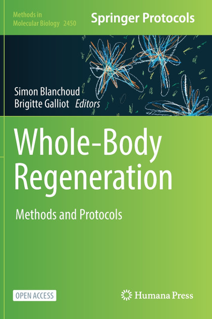 Whole-Body Regeneration Whole-Body Regeneration