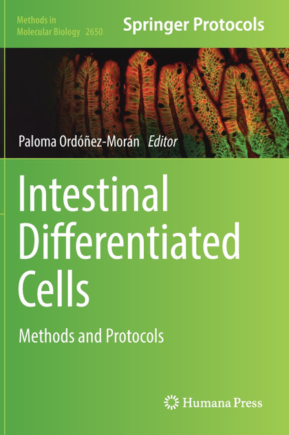 Intestinal Differentiated Cells