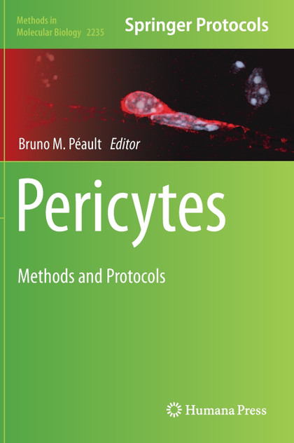 Pericytes Pericytes