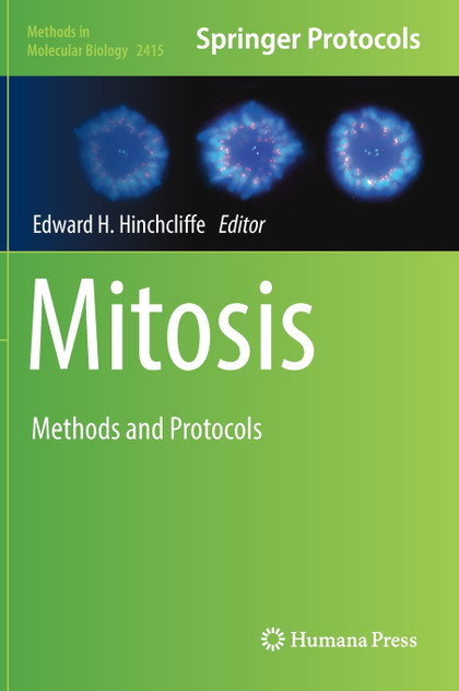 Mitosis Mitosis
