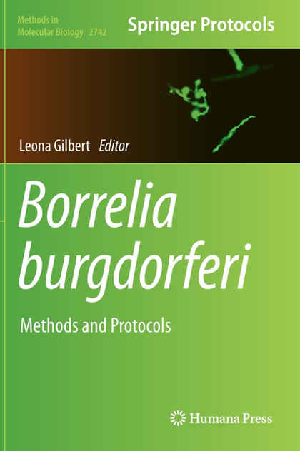 Borrelia burgdorferi Borrelia burgdorferi