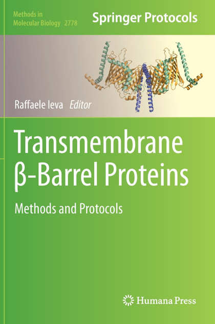 Transmembrane β-Barrel Proteins