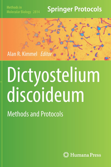 Dictyostelium discoideum