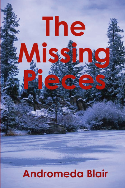 The Missing Pieces The Missing Pieces
