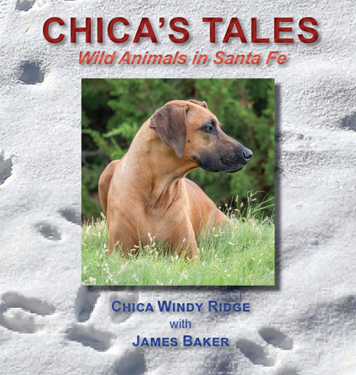 Chica's Tales Chica's Tales
