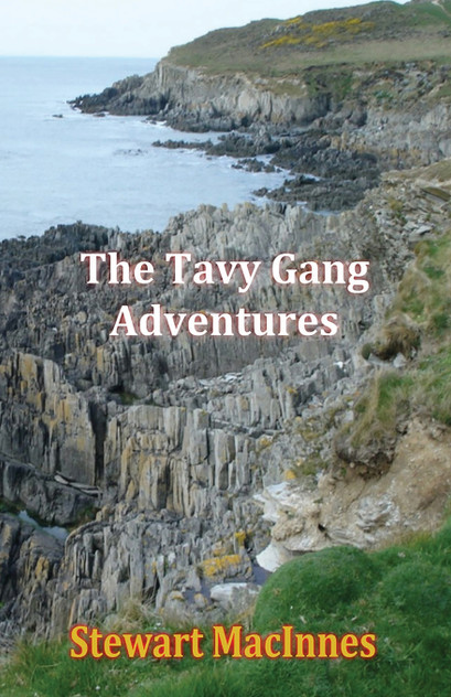 The Tavy Gang Adventures The Tavy Gang Adventures