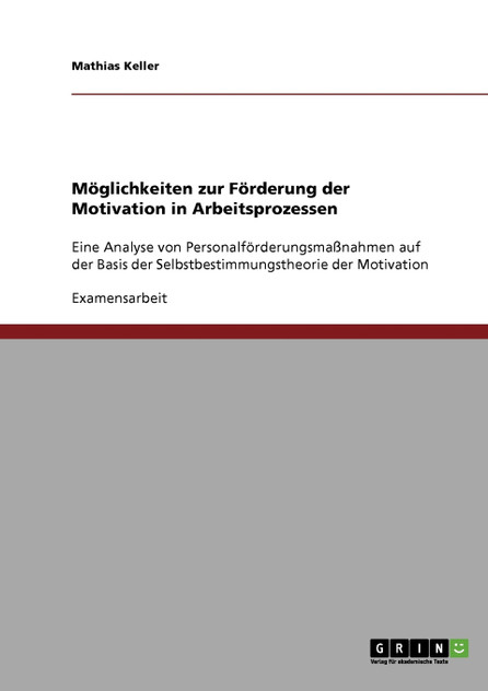Möglichkeiten zur Förderung der Motivation in Arbeitsprozessen Möglichkeiten zur Förderung der Motivation in Arbeitsprozessen