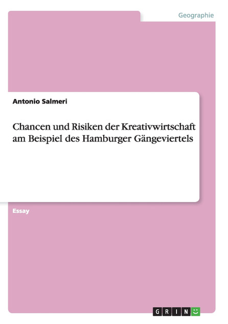 Chancen und Risiken der Kreativwirtschaft am Beispiel des Hamburger Gängeviertels Chancen und Risiken der Kreativwirtschaft am Beispiel des Hamburger Gängeviertels