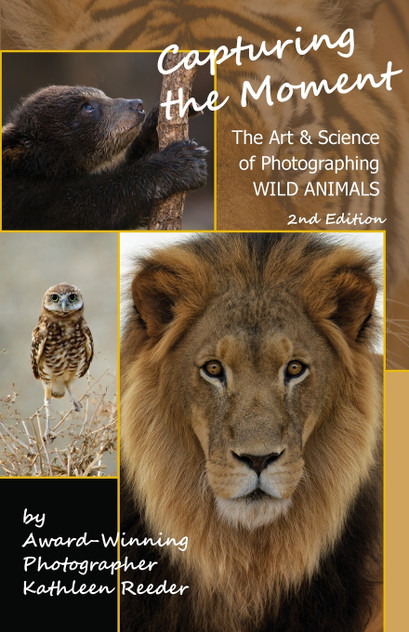 Capturing the Moment, The Art & Science of Photographing Wild Animals Capturing the Moment, The Art & Science of Photographing Wild Animals