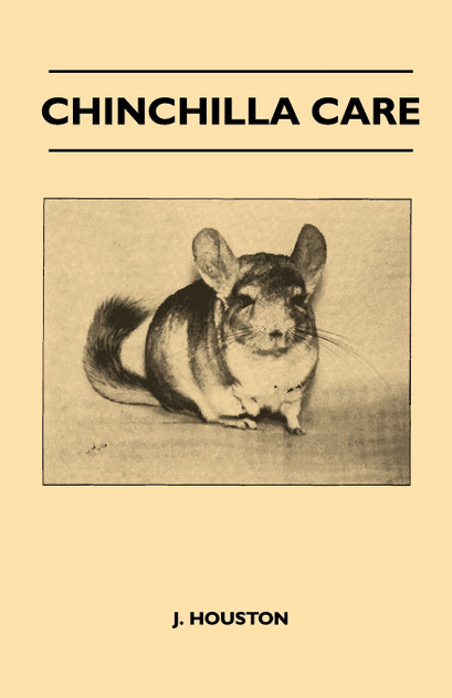 Chinchilla Care Chinchilla Care