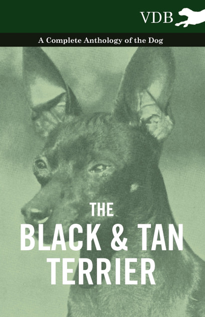 The Black and Tan Terrier - A Complete Anthology of the Dog - The Black and Tan Terrier - A Complete Anthology of the Dog -