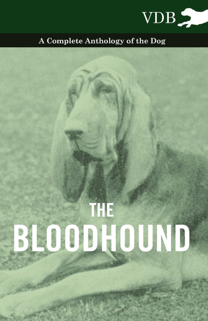 The Bloodhound - A Complete Anthology of the Dog - The Bloodhound - A Complete Anthology of the Dog -