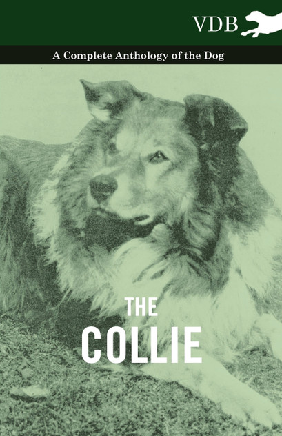 The Collie - A Complete Anthology of the Dog - The Collie - A Complete Anthology of the Dog -