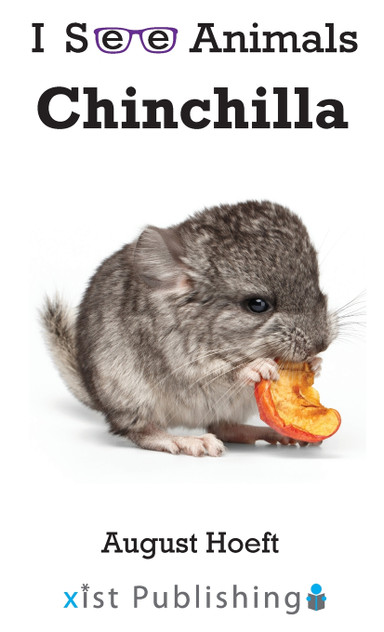 Chinchilla Chinchilla