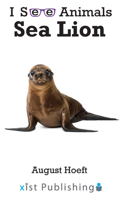 Sea Lion Sea Lion